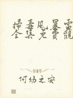 扫毒风暴电视剧全集免费观看高清