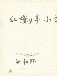 红楼y梦小说