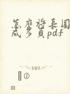 怎么将长图转换成多页pdf