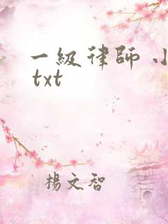 一级律师 小说 txt
