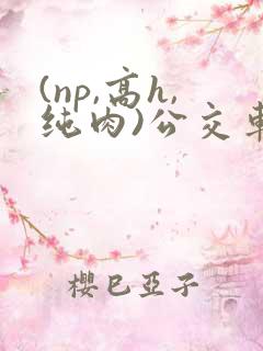 (np,高h,纯肉)公交车