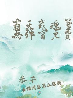 霸天武魂笔趣阁无弹窗免费阅读