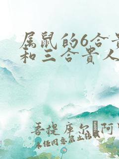 属鼠的6合贵人和三合贵人