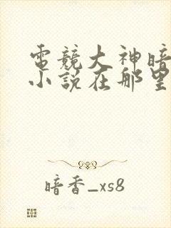 电竞大神暗恋我小说在那里更新