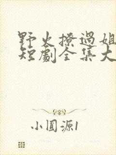 野火撩过姐姐心短剧全集大结局