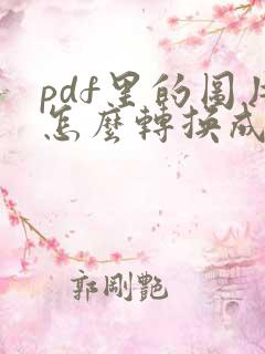 pdf里的图片怎么转换成word