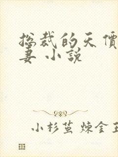 总裁的天价小娇妻 小说