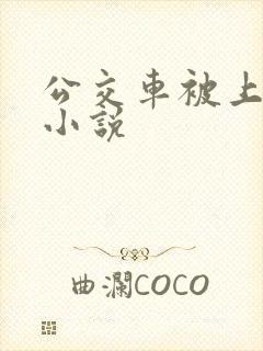 公交车被上高潮小说