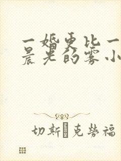 一婚更比一婚高晨光的雾小说