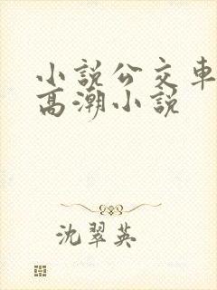 小说公交车被上高潮小说