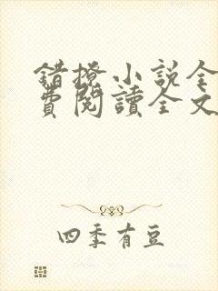错撩小说全文免费阅读全文