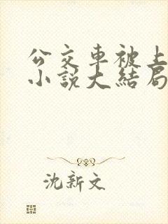 公交车被上高潮小说大结局