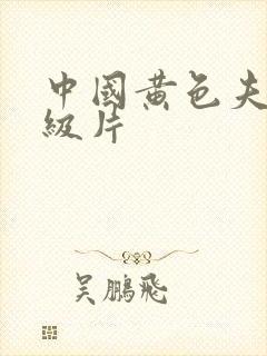 中国黄色夫妻一级片