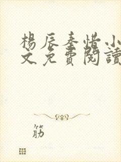 杨辰秦惜小说全文免费阅读最新章节更新