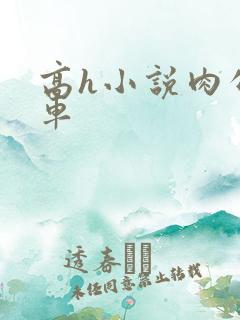 高h小说肉公交车