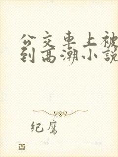 公交车上被人摸到高潮小说