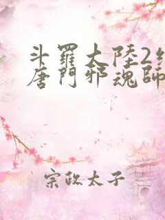 斗罗大陆2绝世唐门邪魂师