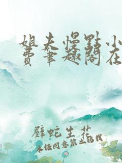 姐夫慢点小说免费笔趣阁在线阅读