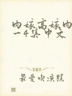肉嫁高嫁肉柳1一4集中文