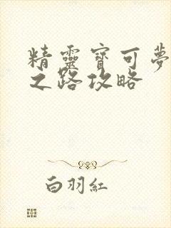 精灵宝可梦冠军之路攻略