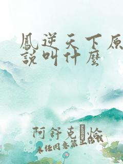 凤逆天下原著小说叫什么