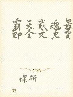 霸天武魂最新章节全文免费阅读