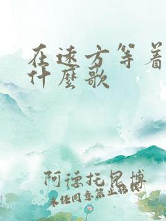 在远方等着我是什么歌