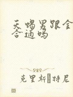 天蝎男跟金牛女合适吗