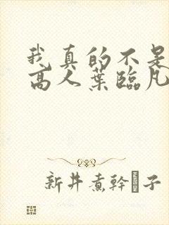我真的不是绝世高人叶临凡小说