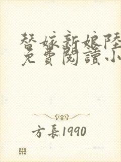 替嫁新娘陆寒霆免费阅读小说
