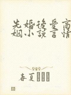 先婚后爱商业联姻小说言情