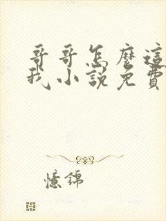 哥哥怎么这样看我小说免费阅读无弹窗