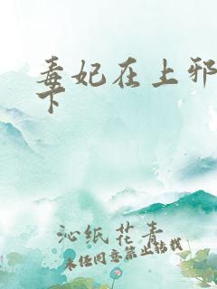 毒妃在上邪王在下