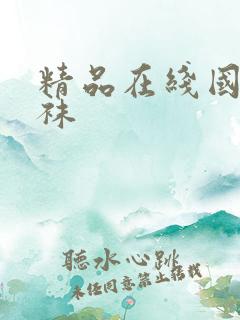 精品在线国产丝袜