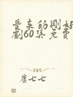 爱来的刚好电视剧60集免费观看