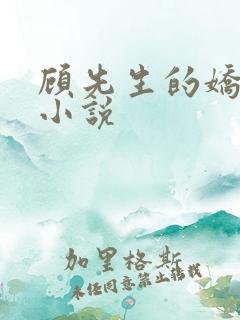 顾先生的娇太太小说