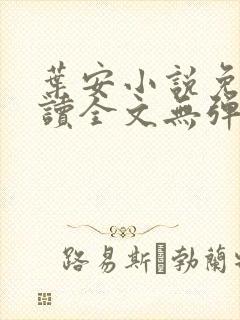 叶安小说免费阅读全文无弹窗