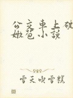 公交车上破了个嫩苞小说