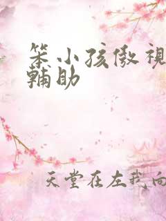 笨小孩傲视遮天辅助