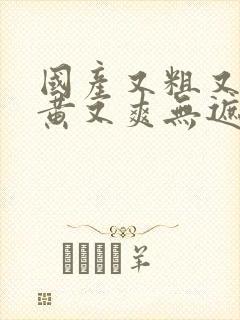 国产又粗又猛又黄又爽无遮挡