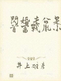 闪婚老公是千亿首富战胤小说最新