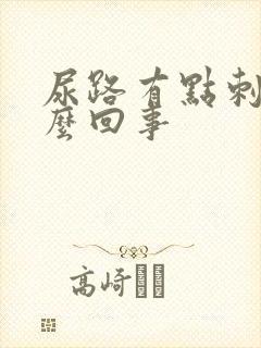 尿路有点刺痛怎么回事