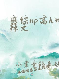 恋综np高h肉辣文
