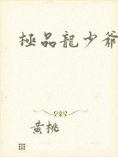 极品龙少爷
