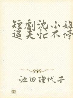 短剧沈小姐哄崽追夫忙不停全集