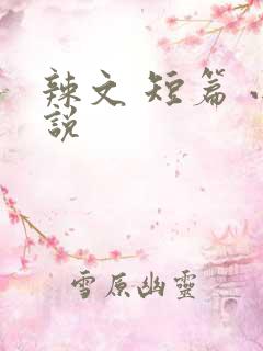 辣文 短篇 小说