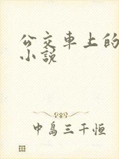 公交车上的乱欲小说