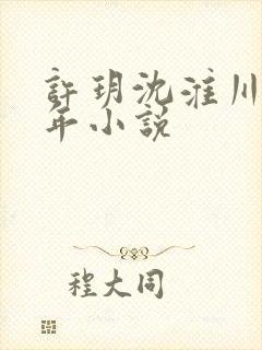 许玥沈淮川陈晋年小说
