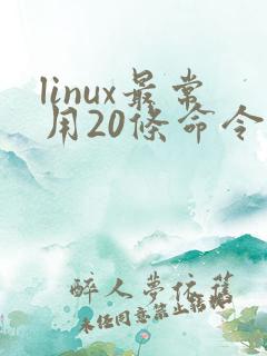 linux最常用20条命令汇总