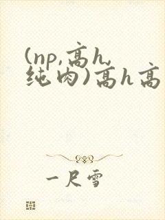 (np,高h,纯肉)高h高辣bl